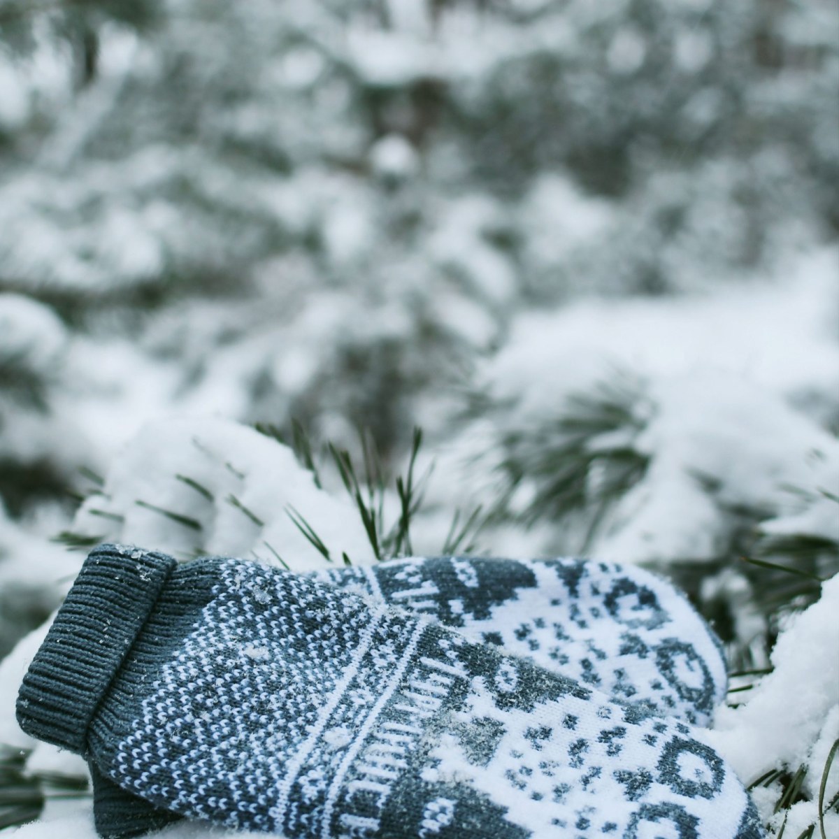 Knit Wool Gloves