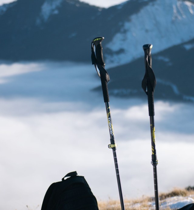 Folding Carbon Trekking Poles