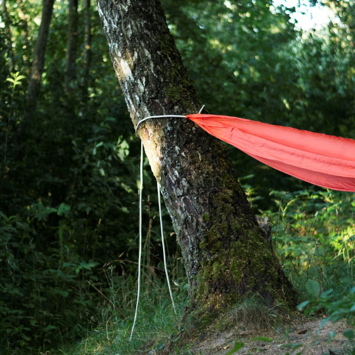 Seyyah Camp Hammock