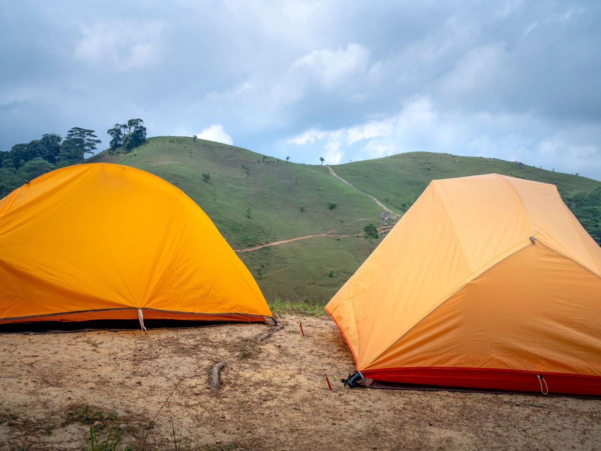 Camp